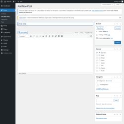 Page screenshot: Add New Post &lsaquo; Test site &mdash; WordPress