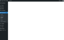 Page screenshot: Widgets &lsaquo; Test site &mdash; WordPress