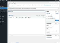 Page screenshot: Add New Page &lsaquo; Test site &mdash; WordPress