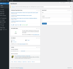 Page screenshot: Dashboard &lsaquo; Test site &mdash; WordPress