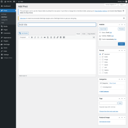 Page screenshot: Add Post &lsaquo; Test site &mdash; WordPress