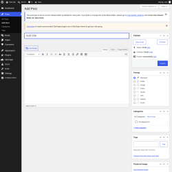 Page screenshot: Add Post &lsaquo; Test site &mdash; WordPress