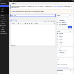 Page screenshot: Add Post &lsaquo; Test site &mdash; WordPress