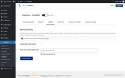 Page screenshot: SiteSEO → Analytics → Clarity