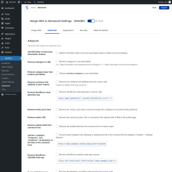 Page screenshot: SiteSEO → Advanced → Advanced