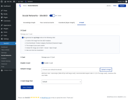 Page screenshot: SiteSEO → Social Networks → X Card