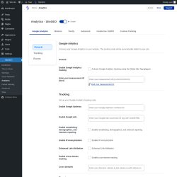 Page screenshot: SiteSEO → Analytics