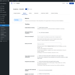 Page screenshot: SiteSEO → Analytics → Matomo