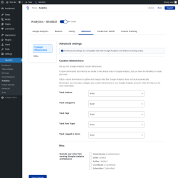 Page screenshot: SiteSEO → Analytics → Advanced