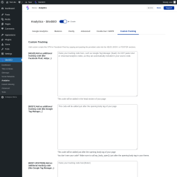 Page screenshot: SiteSEO → Analytics → Custom Tracking