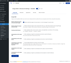 Page screenshot: SiteSEO → Advanced