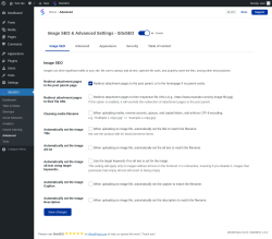 Page screenshot: SiteSEO → Advanced