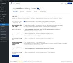 Page screenshot: SiteSEO &rarr; Advanced