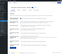 Page screenshot: SiteSEO &rarr; Advanced