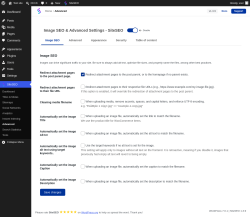 Page screenshot: SiteSEO &rarr; Advanced