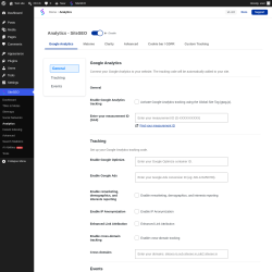 Page screenshot: SiteSEO &rarr; Analytics