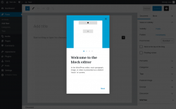 Page screenshot: Add New Post ‹ Test site — WordPress