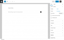 Page screenshot: Add New Post ‹ Test site — WordPress