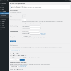 Page screenshot: SkySEOManager &rarr; Settings