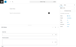 Page screenshot: Add Page &lsaquo; Test site &mdash; WordPress