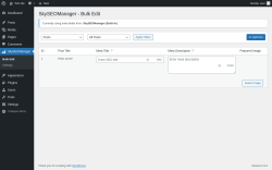 Page screenshot: SkySEOManager