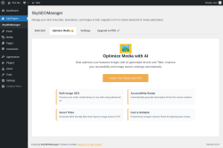 Page screenshot: SkyPlugins &rarr; Optimize Media 🔒