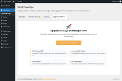 Page screenshot: SkyPlugins &rarr; Upgrade to PRO 🚀
