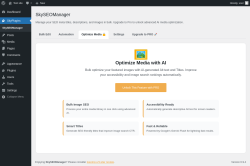 Page screenshot: SkyPlugins &rarr; Optimize Media 🔒