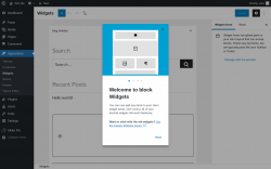 Page screenshot: Widgets &lsaquo; Test site &mdash; WordPress