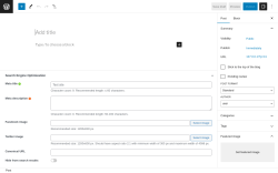 Page screenshot: Add New Post &lsaquo; Test site &mdash; WordPress