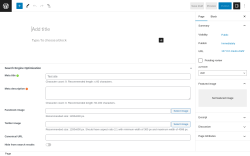 Page screenshot: Add New Page &lsaquo; Test site &mdash; WordPress