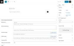 Page screenshot: Add New Page &lsaquo; Test site &mdash; WordPress