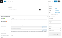 Page screenshot: Add New Post &lsaquo; Test site &mdash; WordPress