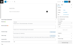 Page screenshot: Add New Post &lsaquo; Test site &mdash; WordPress