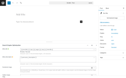 Page screenshot: Add Post ‹ Test site — WordPress
