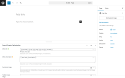 Page screenshot: Add Page ‹ Test site — WordPress