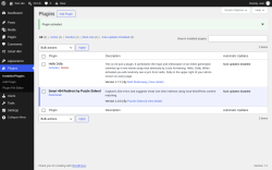 Page screenshot: Plugins &lsaquo; Test site &mdash; WordPress