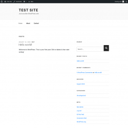 Page screenshot: Test site &ndash; Just another WordPress site