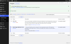 Page screenshot: Plugins &lsaquo; Test site &mdash; WordPress