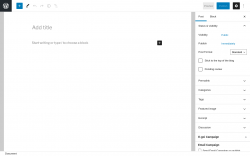 Page screenshot: Add New Post &lsaquo; Test site &mdash; WordPress