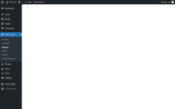 Page screenshot: Widgets &lsaquo; Test site &mdash; WordPress