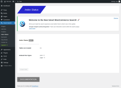 Page screenshot: Smart Search &rarr; Index Status