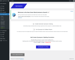 Page screenshot: Smart Search &rarr; Synonyms