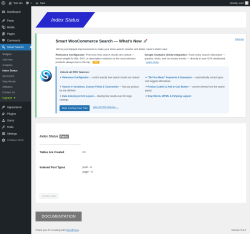 Page screenshot: Smart Search &rarr; Index Status