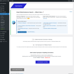 Page screenshot: Smart Search &rarr; Synonyms