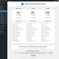 Page screenshot: Smart Search &rarr; Upgrade&nbsp;&nbsp;➤