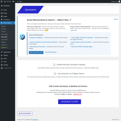 Page screenshot: Smart Search &rarr; Synonyms