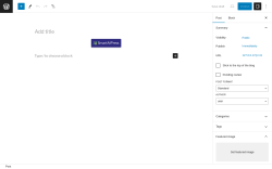 Page screenshot: Add New Post ‹ Test site — WordPress