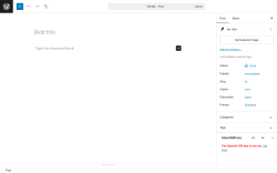Page screenshot: Add Post ‹ Test site — WordPress