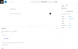 Page screenshot: Add Page ‹ Test site — WordPress